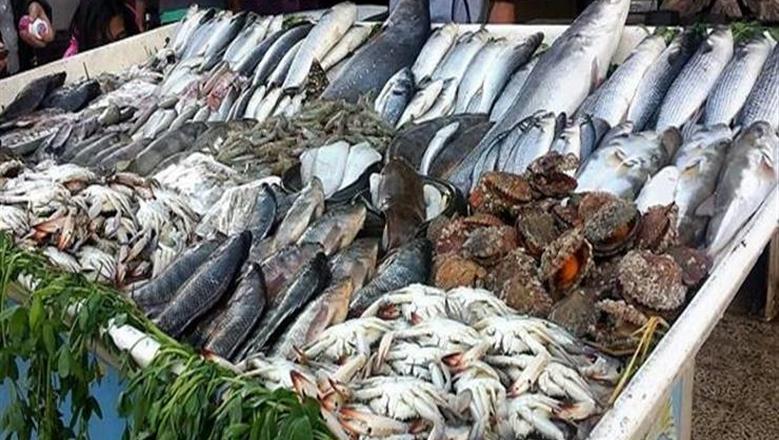 أسعار السمك اليوم في سوق العبور