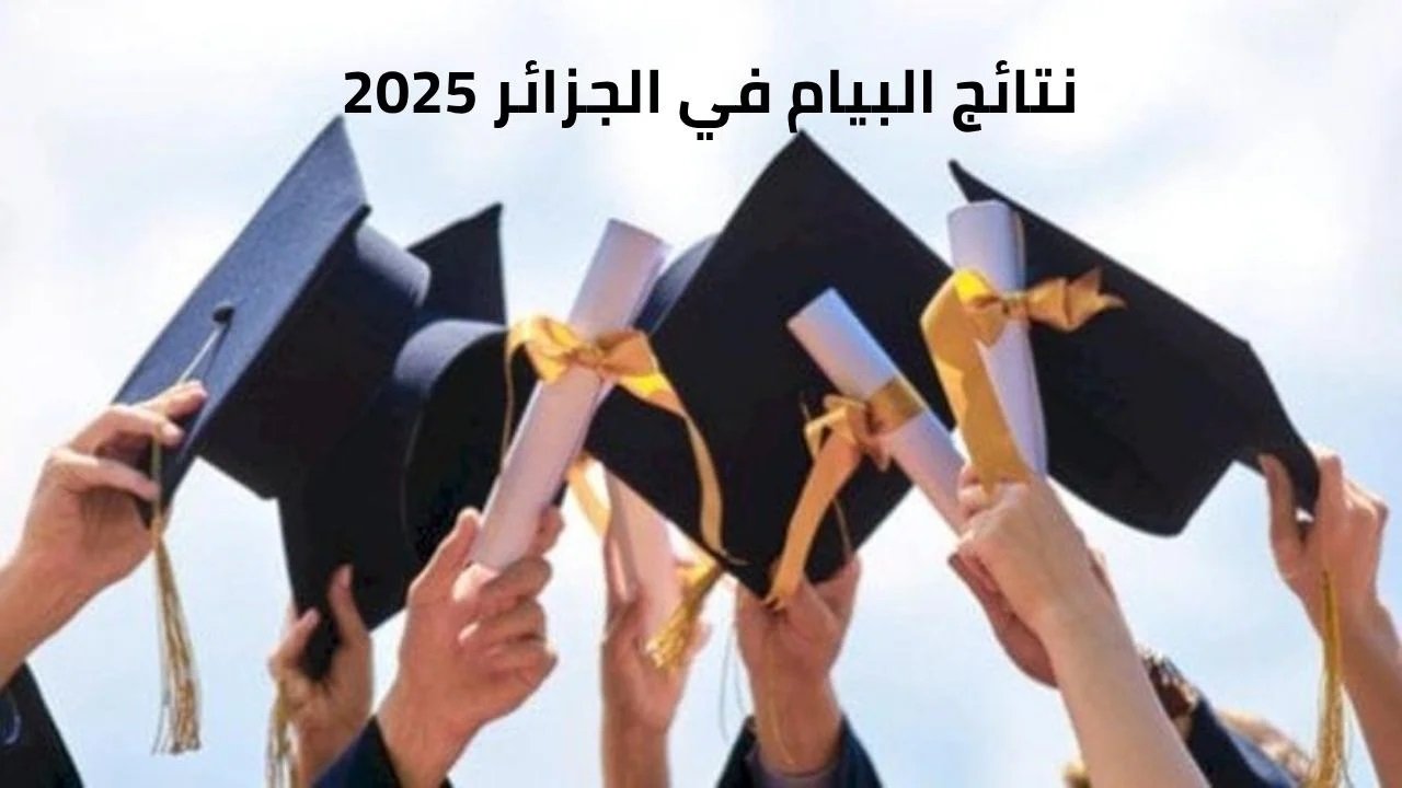 خطوات استخراج نتائج البيام 2025 الجزائر وزارة التربية الوطنية