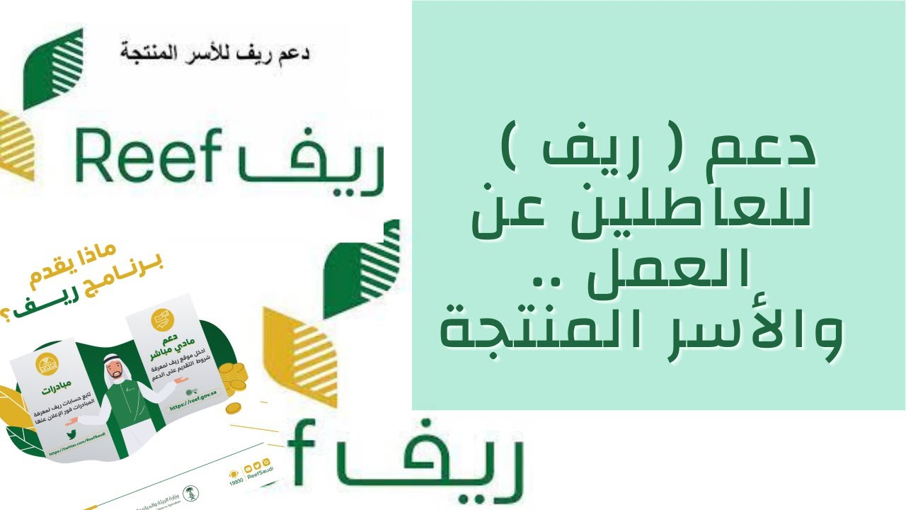 دعم ريف 1447: رابط استعلام دفعة يوليو 2025.. اعرف نتيجتك فوراً!